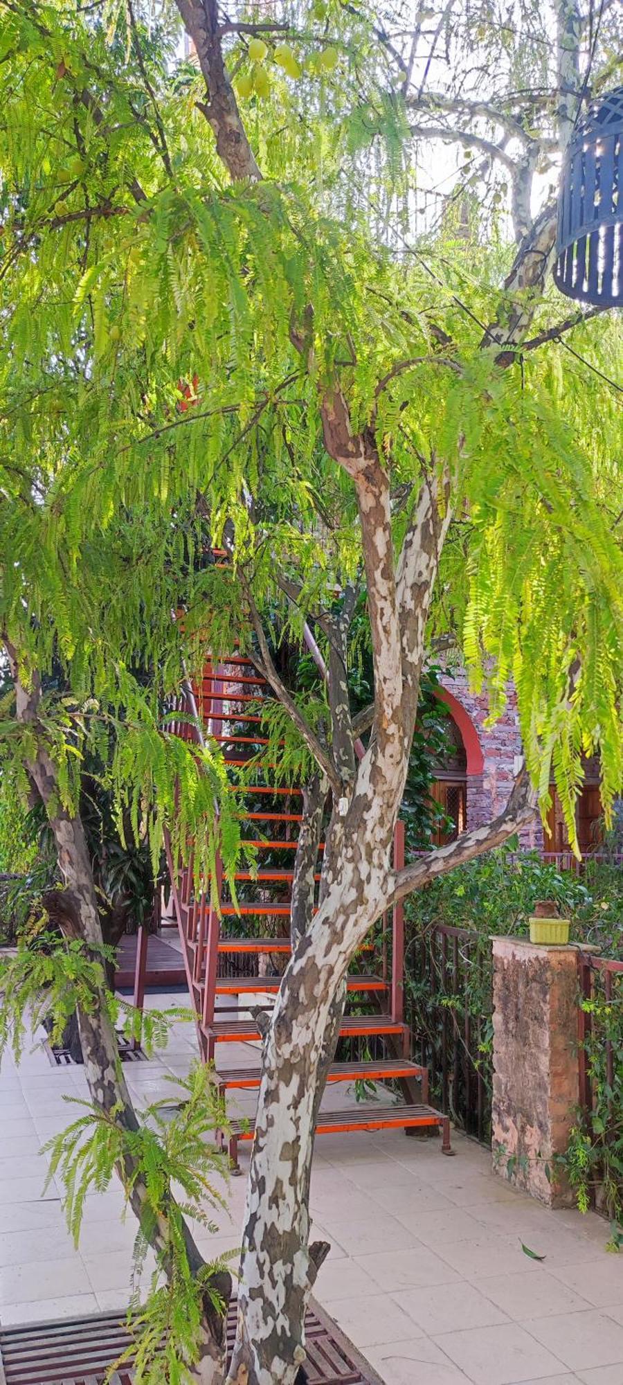 The Secret Garden Bed & Breakfast Пушкар Екстериор снимка