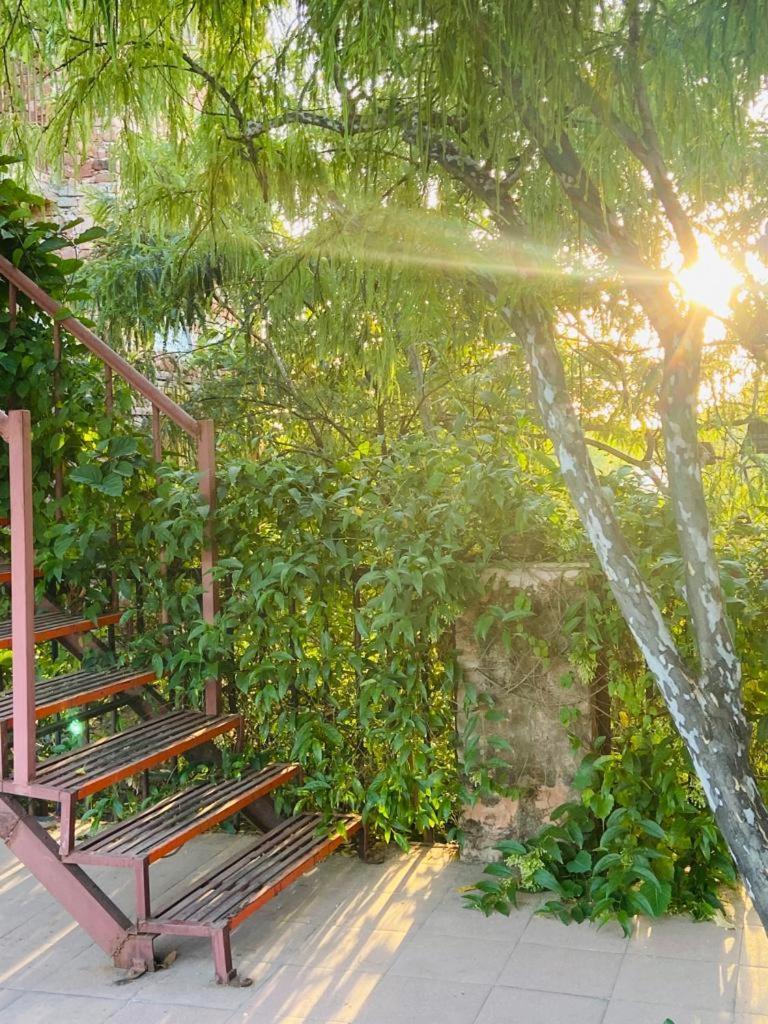 The Secret Garden Bed & Breakfast Пушкар Екстериор снимка
