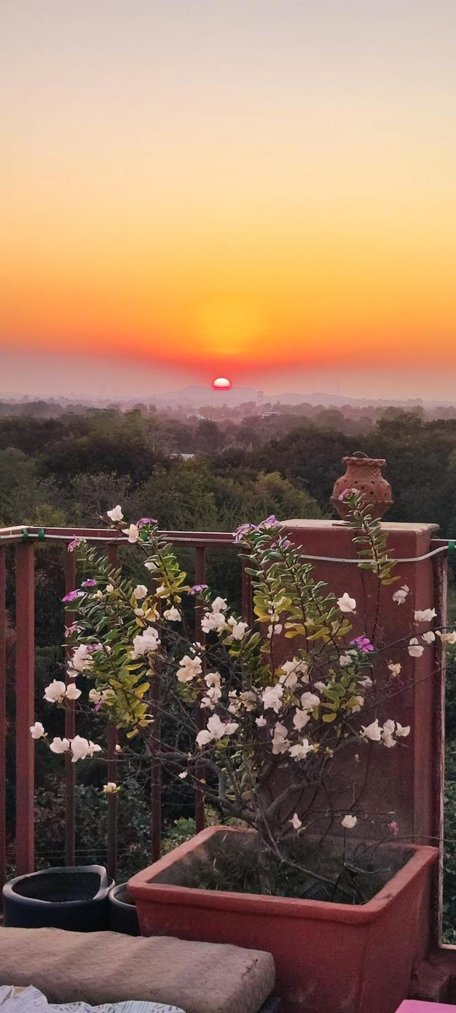 The Secret Garden Bed & Breakfast Пушкар Екстериор снимка